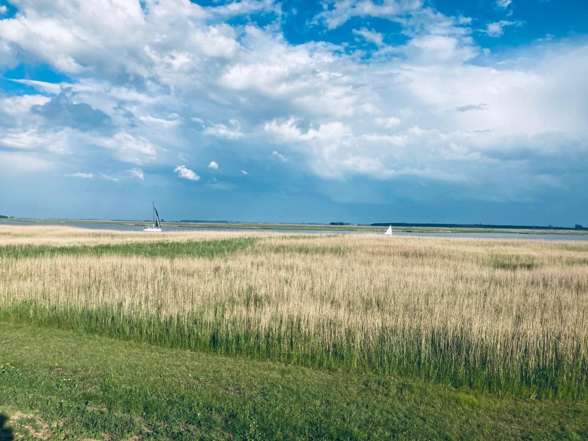 Fewo VI Villa Nicole Hafenstrasse 37 Zingst Εξωτερικό φωτογραφία
